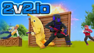 2V2 IO